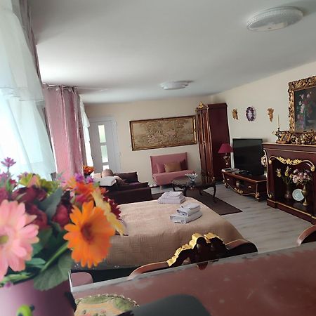 Gite Luxury***** avec Bar à Soultzeren Exterior foto