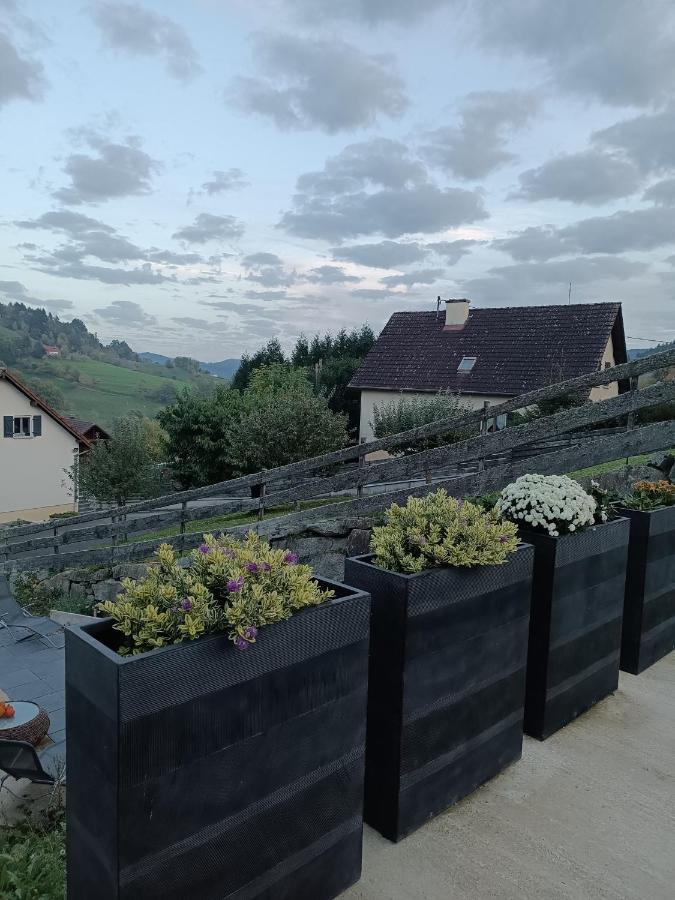 Gite Luxury***** avec Bar à Soultzeren Exterior foto